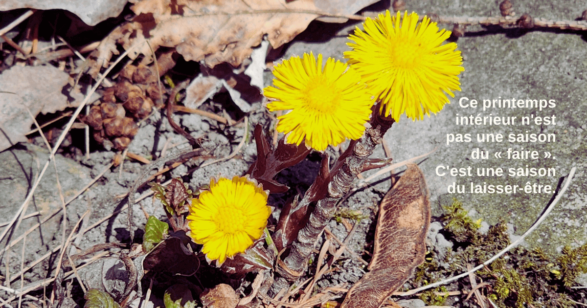 Ce printemps intérieur n'est pas une saison du « faire ». C'est une saison du laisser être