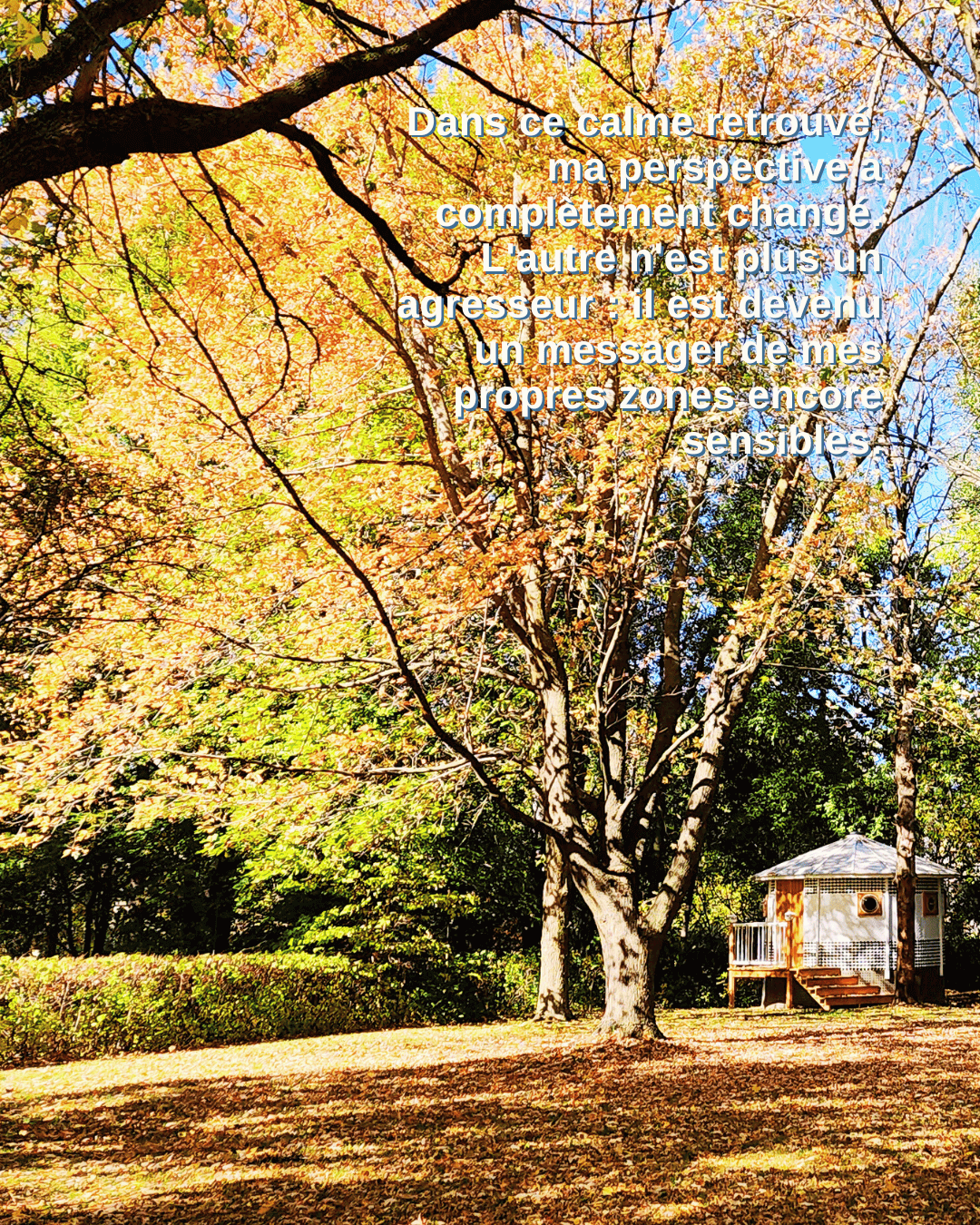 Quand le dialogue se ferme, il faut choisir la lumière et l’amour de soi plutôt que la réaction